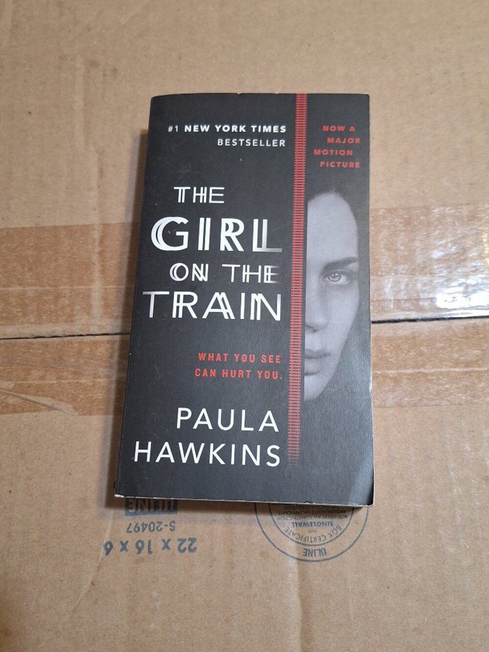 The Girl On the Train